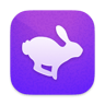 company_icon